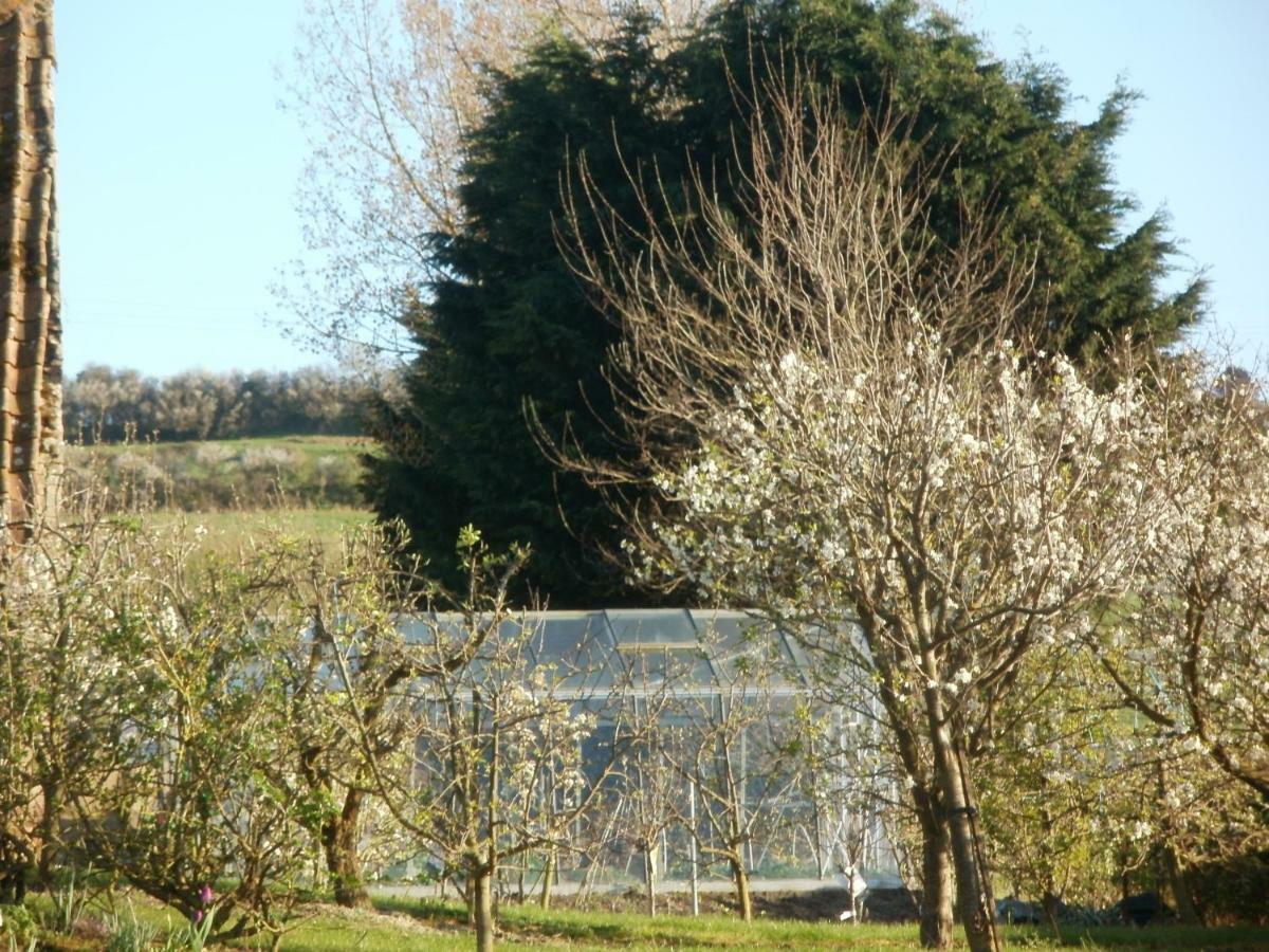 Villa La Ferme Fleurie Echinghen Exterior foto